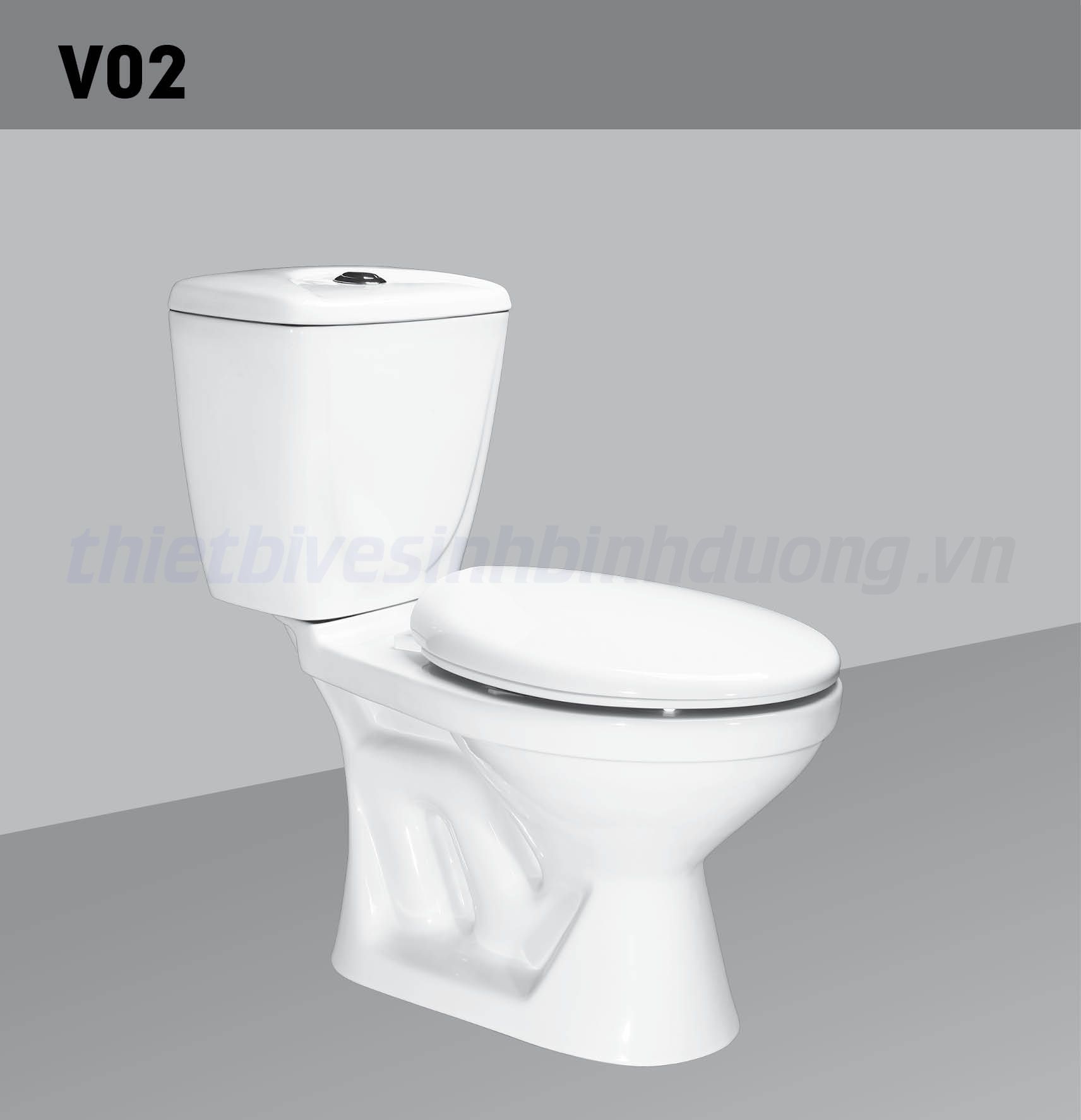 Bồn cầu sứ Hảo Cảnh HC V02
